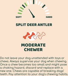 Little Loyals Grade A Premium Split Deer Antler Dog Chew, Small slide 2 of 4