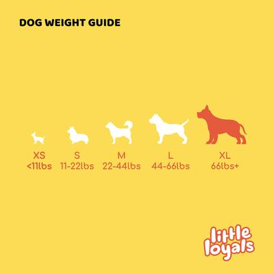 Show full view: Little Loyals Grade A Premium Split Deer Antler Dog Chew, X-Large slide 4 of 5