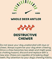 Little Loyals Grade A Premium Whole Deer Antler Chew Dog Treat, Large slide 2 of 4