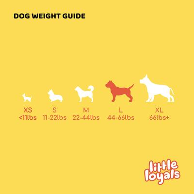 Show full view: Little Loyals Grade A Premium Whole Deer Antler Chew Dog Treat, Large slide 4 of 5