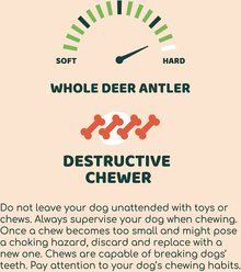 Little Loyals Grade A Premium Whole Deer Antler Chew Dog Treat, Medium slide 2 of 4
