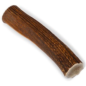 Little Loyals Grade A Premium Whole Deer Antler Chew Dog Treat, Small