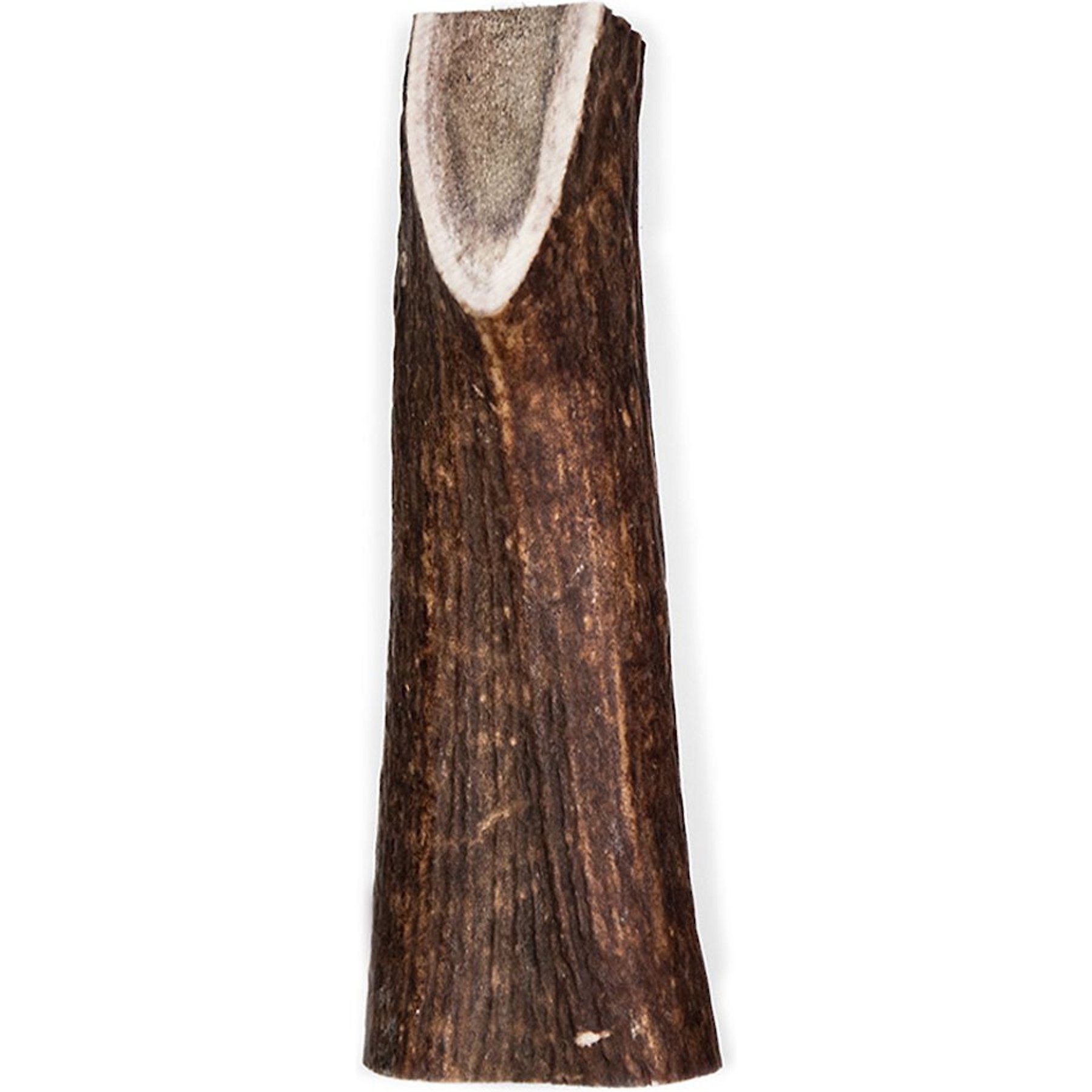 Little Loyals Grade A Premium Whole Deer Antler Chew Dog Treat, X-Large