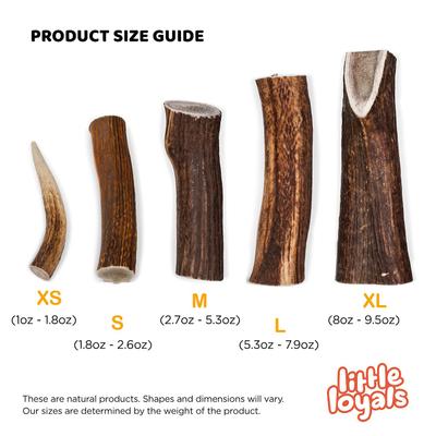 Show full view: Little Loyals Grade A Premium Whole Deer Antler Chew Dog Treat, X-Large slide 5 of 6