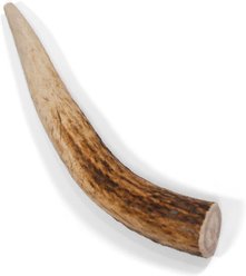 Little Loyals Grade A Premium Whole Deer Antler Chew Dog Treat, X-Small slide 1 of 4