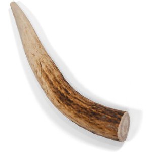 Little Loyals Grade A Premium Whole Deer Antler Chew Dog Treat, X-Small