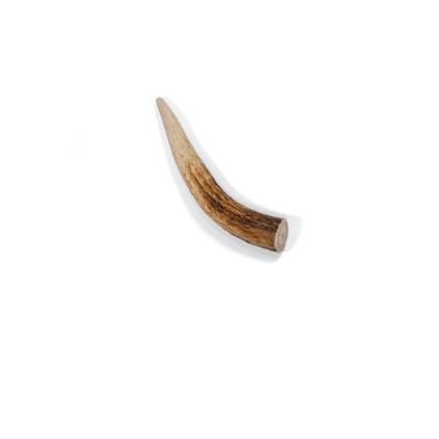 Show full view: Little Loyals Grade A Premium Whole Deer Antler Chew Dog Treat, X-Small slide 1 of 5