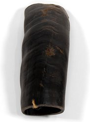 Little Loyals Premium Buffalo Horn Dog Chew, Medium