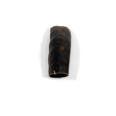 Show full view: Little Loyals Premium Buffalo Horn Dog Chew, Medium slide 1 of 6
