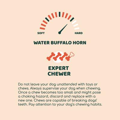 Show full view: Little Loyals Premium Buffalo Horn Dog Chew, Medium slide 3 of 6