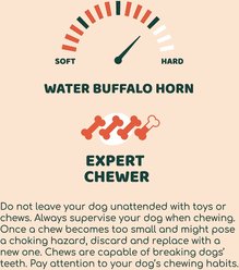 Little Loyals Premium Buffalo Horn Dog Chew, Small slide 2 of 4