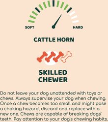 Little Loyals Premium Cattle Horn Dog Chew, Large slide 2 of 4