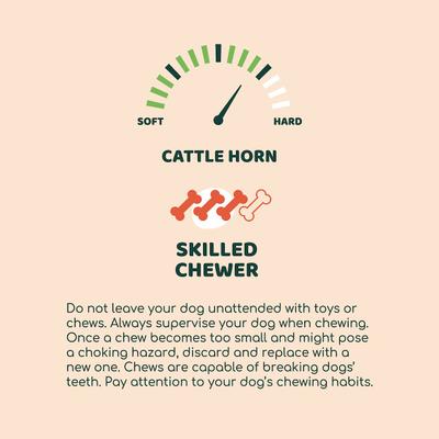 Show full view: Little Loyals Premium Cattle Horn Dog Chew, Medium slide 3 of 6