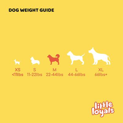 Show full view: Little Loyals Premium Cattle Horn Dog Chew, Medium slide 4 of 6