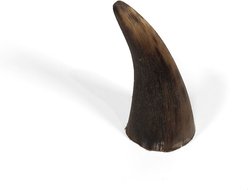 Little Loyals Premium Cattle Horn Dog Chew, Small