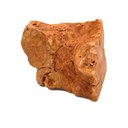 Little Loyals Premium Heather Tree Wood Dog Chew, Large