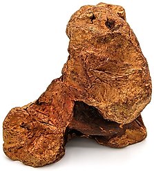 Little Loyals Premium Heather Tree Wood Dog Chew, Small