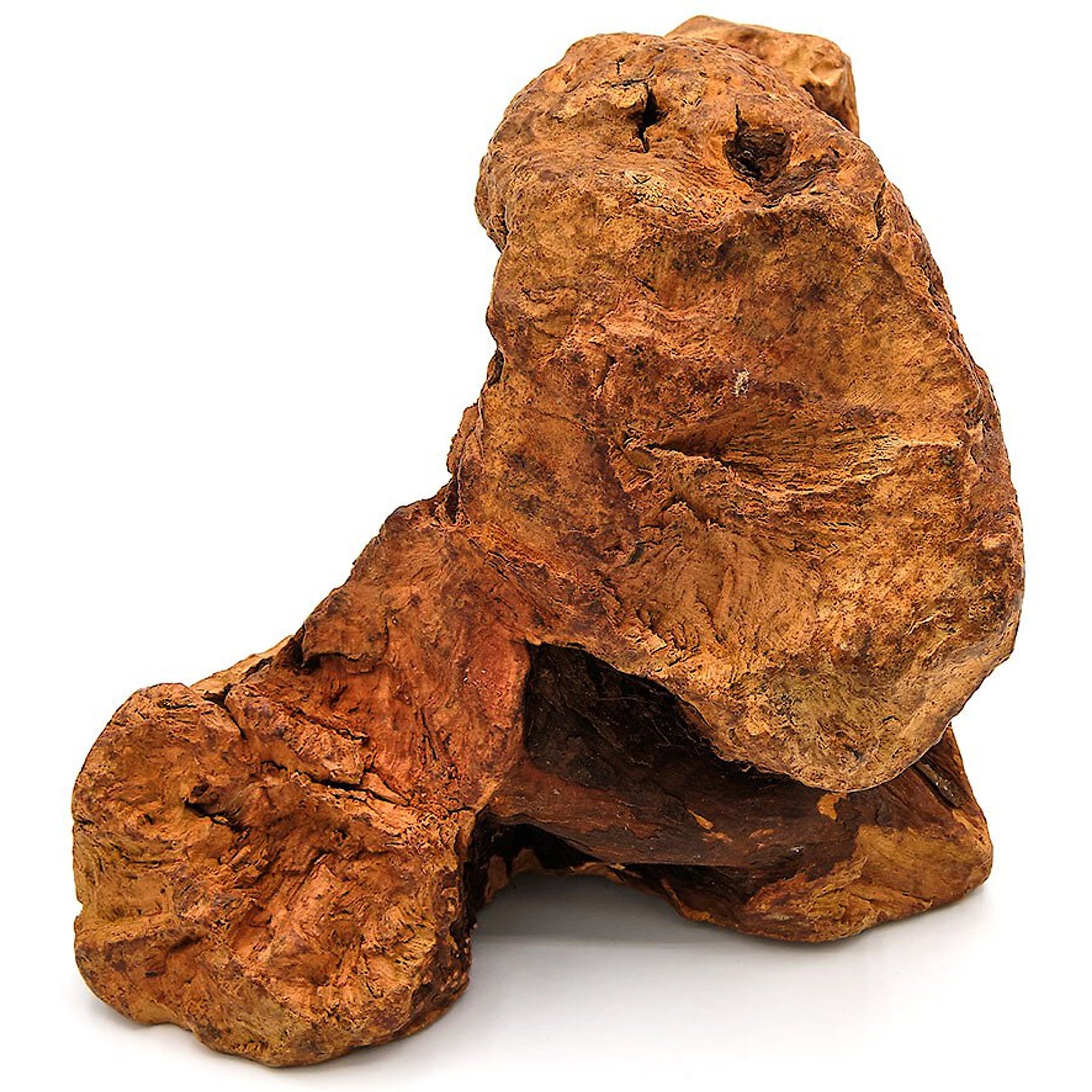 Little Loyals Premium Heather Tree Wood Dog Chew, Small