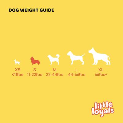 Show full view: Little Loyals Premium Heather Tree Wood Dog Chew, Small slide 4 of 6