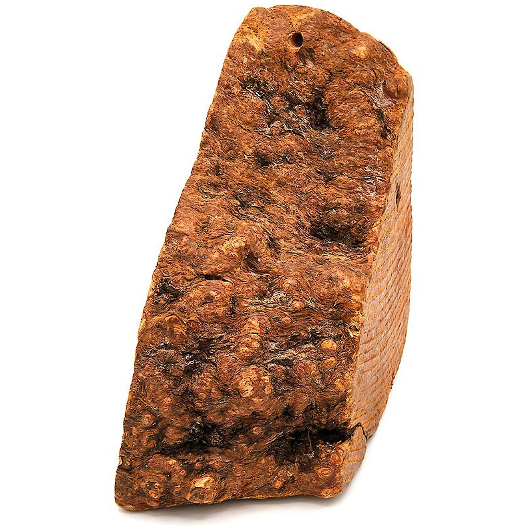 Little Loyals Premium Heather Tree Wood Dog Chew, X-Small