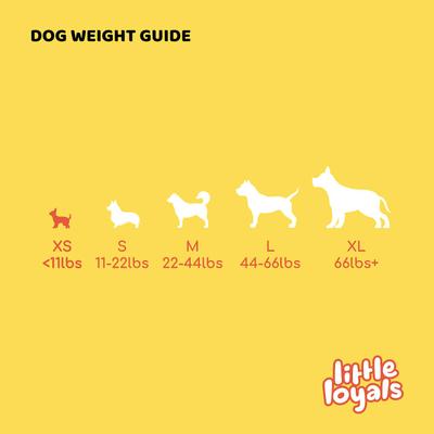 Show full view: Little Loyals Premium Heather Tree Wood Dog Chew, X-Small slide 4 of 6