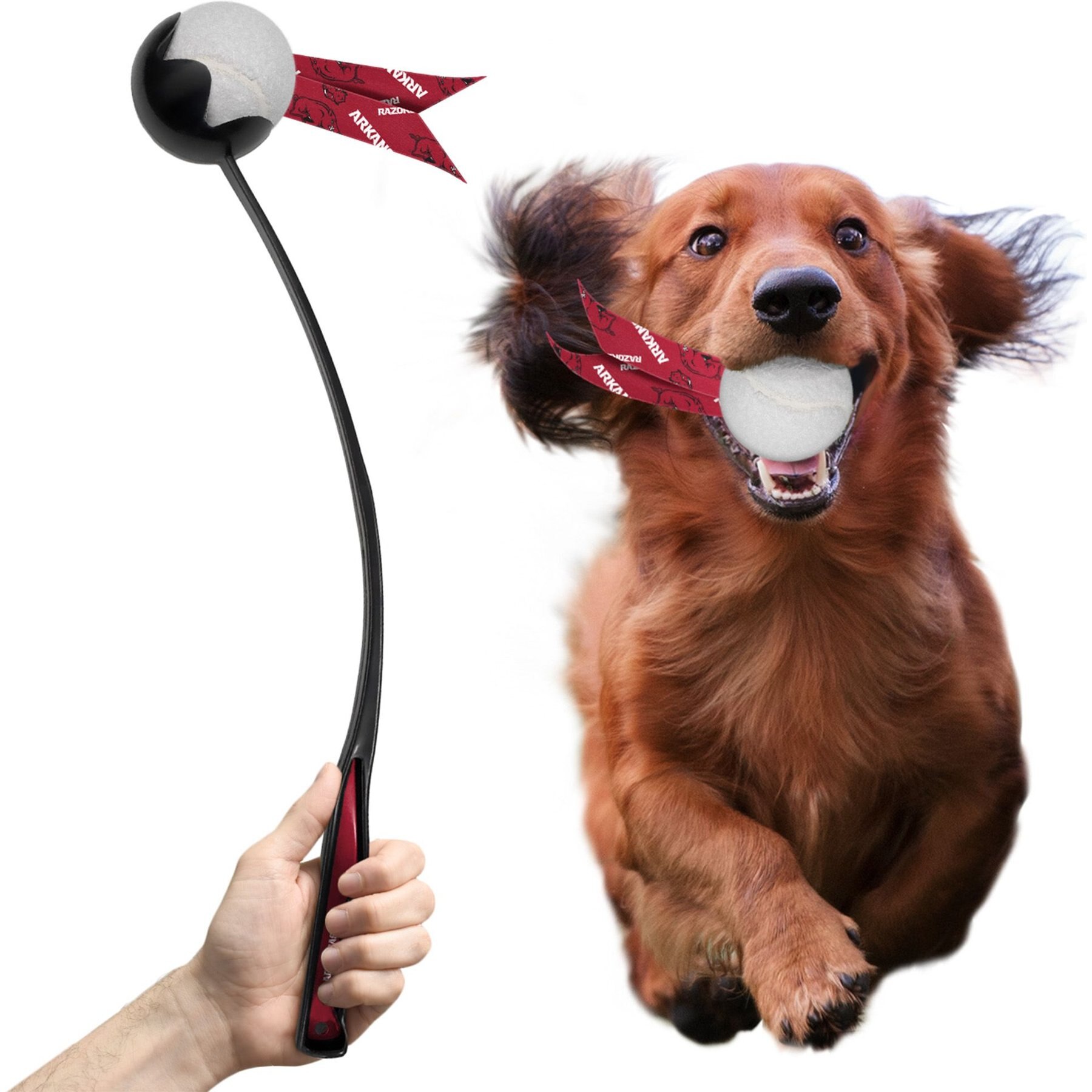 Littlearth Ball Launcher Dog Toy, Arkansas Razorbacks