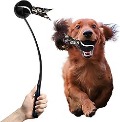 Littlearth Ball Launcher Dog Toy, Baltimore Ravens