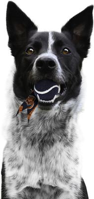 Show full view: Littlearth Ball Launcher Dog Toy, Chicago Bears slide 3 of 5