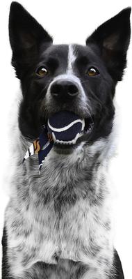 Show full view: Littlearth Ball Launcher Dog Toy, Denver Broncos slide 3 of 5