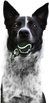 Show full view: Littlearth Ball Launcher Dog Toy, Green Bay Packers slide 3 of 5