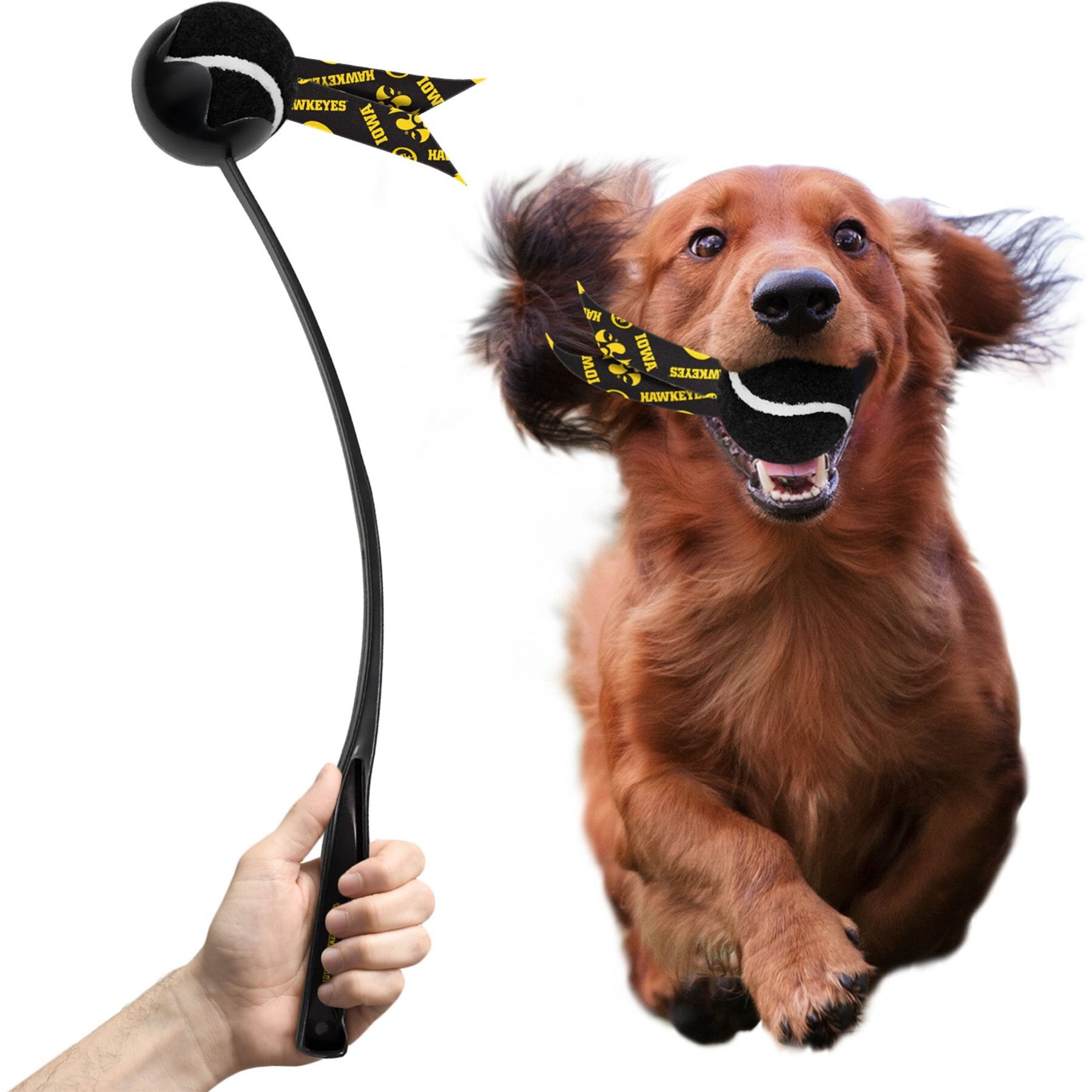 Littlearth Ball Launcher Dog Toy, Iowa Hawkeyes