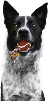 Show full view: Littlearth Ball Launcher Dog Toy, Kansas City Chiefs slide 4 of 6