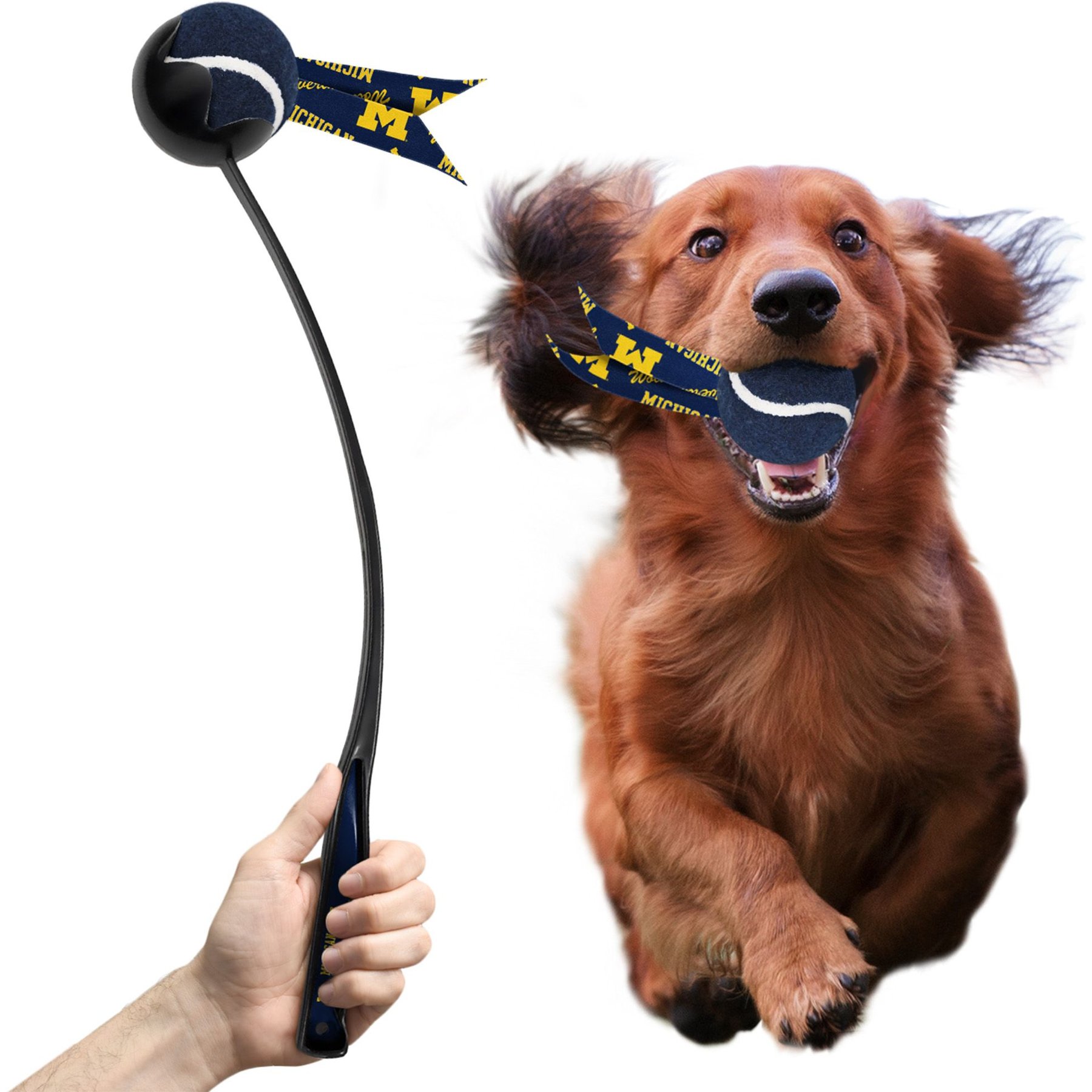 Littlearth Ball Launcher Dog Toy, Michigan Wolverines