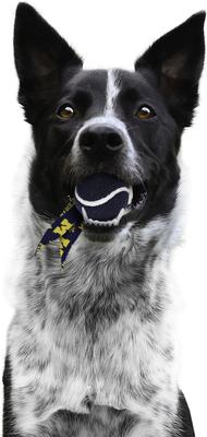 Show full view: Littlearth Ball Launcher Dog Toy, Michigan Wolverines slide 3 of 6