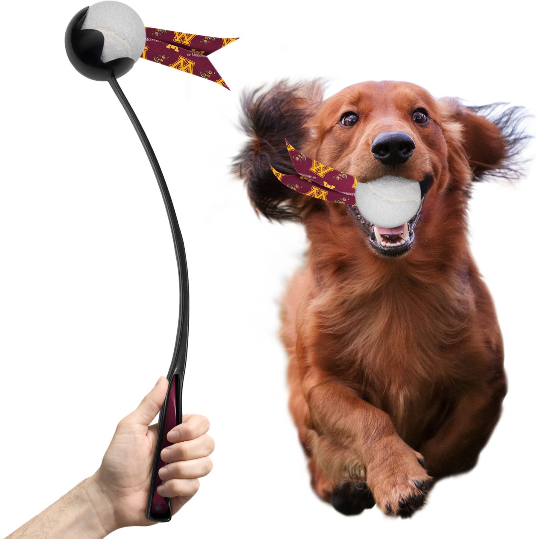 Littlearth Ball Launcher Dog Toy, Minnesota Golden Gophers