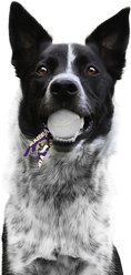 Littlearth Ball Launcher Dog Toy, Minnesota Vikings slide 2 of 5
