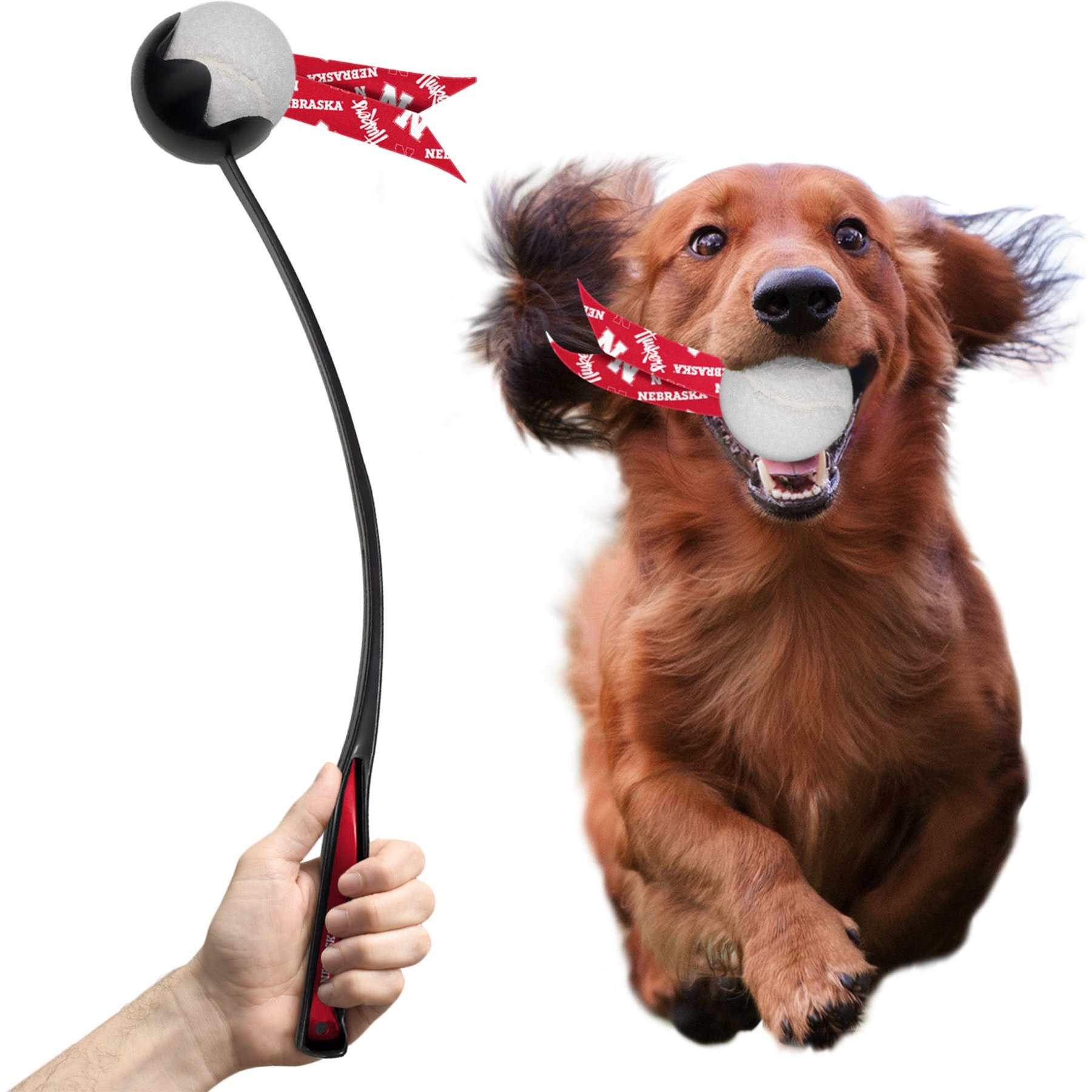 Littlearth Ball Launcher Dog Toy, Nebraska Cornhuskers
