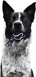 Littlearth Ball Launcher Dog Toy, New England Patriots slide 2 of 5
