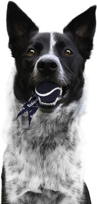 Show full view: Littlearth Ball Launcher Dog Toy, New England Patriots slide 3 of 5