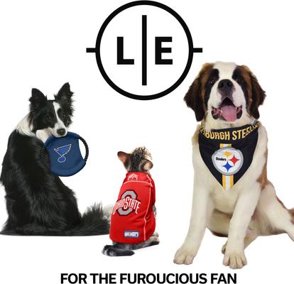 Show full view: Littlearth Ball Launcher Dog Toy, New England Patriots slide 5 of 5