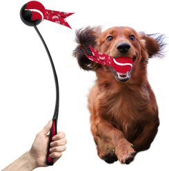 Littlearth Ball Launcher Dog Toy, Ohio State Buckeyes
