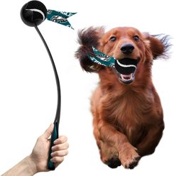 Littlearth Ball Launcher Dog Toy, Philadelphia Eagles