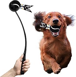 Littlearth Ball Launcher Dog Toy, Pittsburgh Steelers