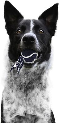 Show full view: Littlearth Ball Launcher Dog Toy, Seattle Seahawks slide 3 of 5