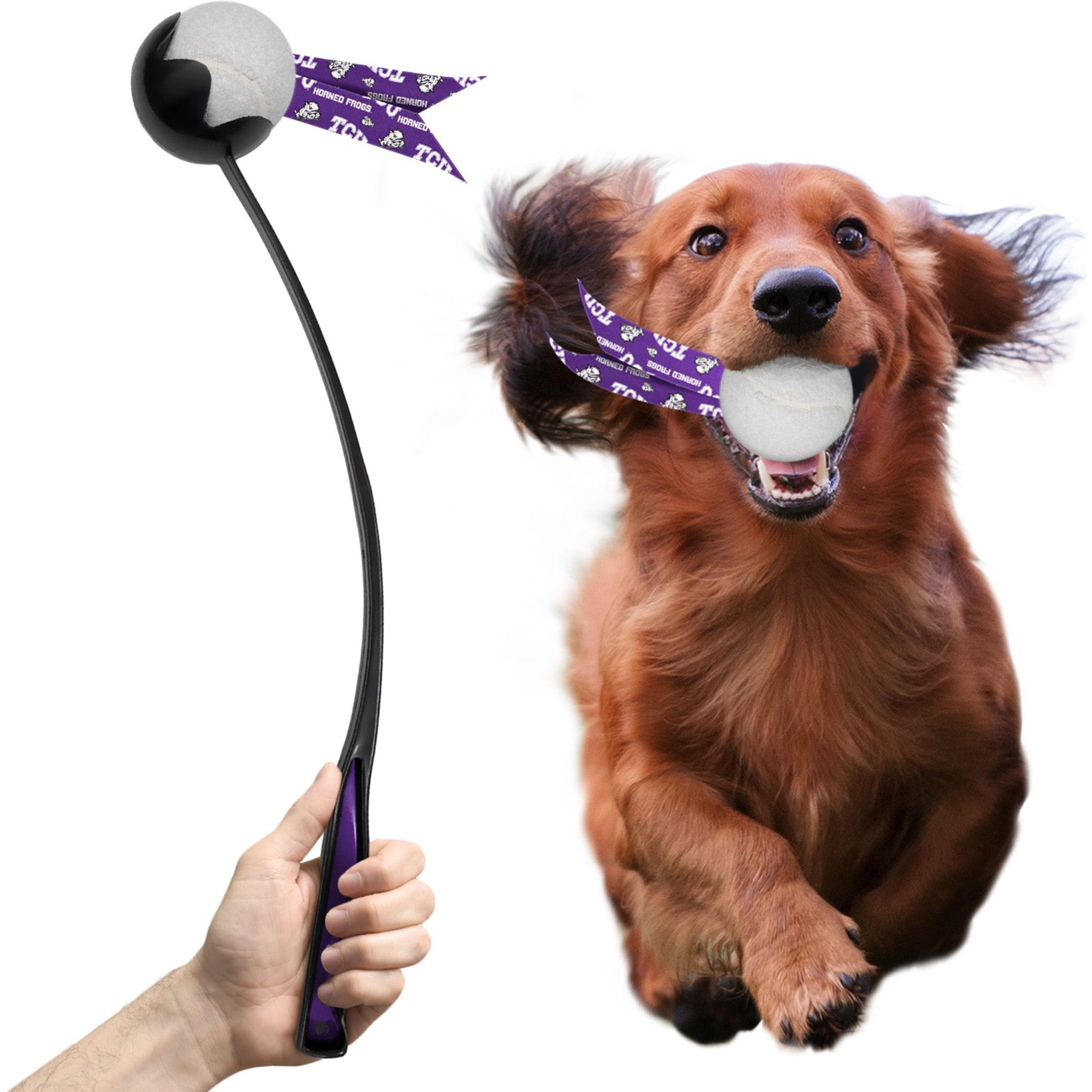Littlearth Ball Launcher Dog Toy, TCU Horned Frogs