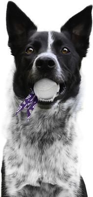 Show full view: Littlearth Ball Launcher Dog Toy, TCU Horned Frogs slide 4 of 7