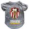 Show in main carousel: Littlearth FIFA World Cup 2026 Champions Dog T-Shirt, Spain, X-Large slide 1 of 7
