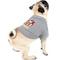 Show in main carousel: Littlearth FIFA World Cup 2026 Champions Dog T-Shirt, Spain, X-Large slide 4 of 7