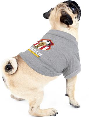 Show full view: Littlearth FIFA World Cup 2026 Champions Dog T-Shirt, Spain, X-Large slide 4 of 7