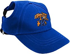 Littlearth NCAA Dog & Cat Baseball Hat, Kentucky Wildcats, Medium